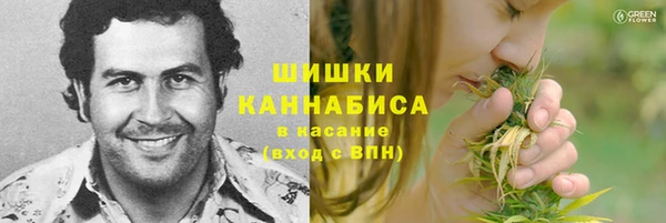 дживик Нефтекумск