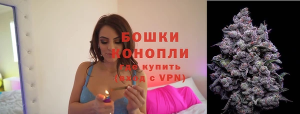 дживик Нефтекумск