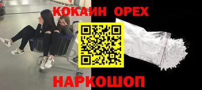 прущие крисы Гатчина