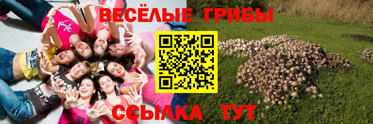 Псилоцибиновые грибы мицелий Апатиты