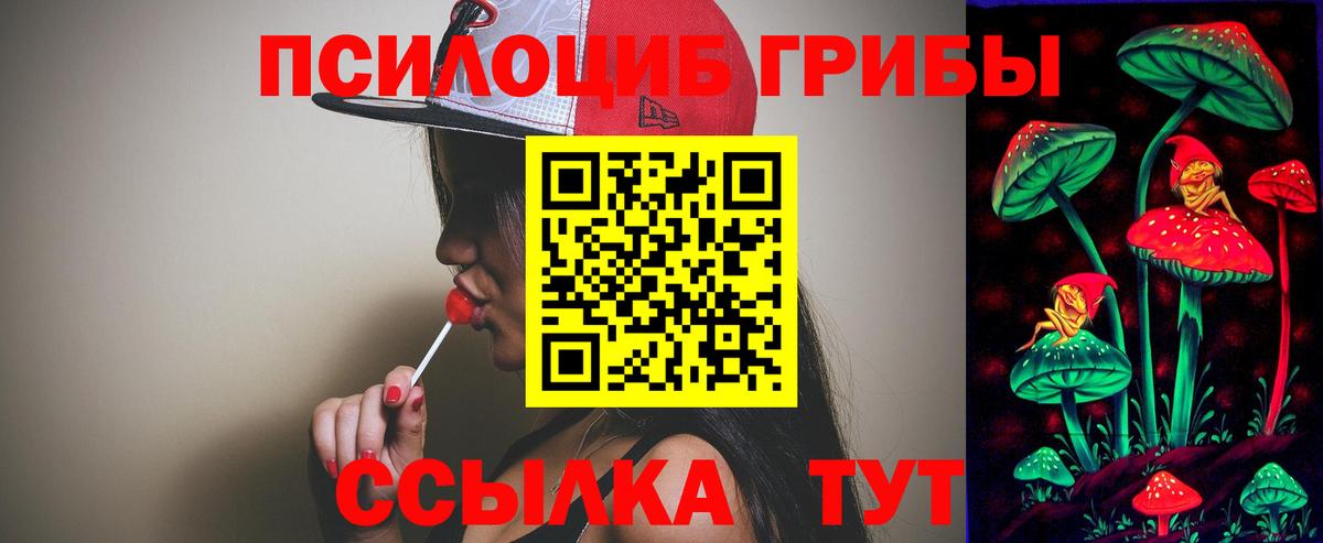 Галлюциногенные грибы Cubensis  Псилоцибиновые грибы прущие грибы  Вход с VPN  Апатиты 