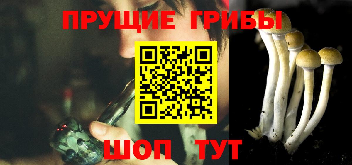 Апатиты  Псилоцибиновые грибы Magic Shrooms  Вход с VPN 