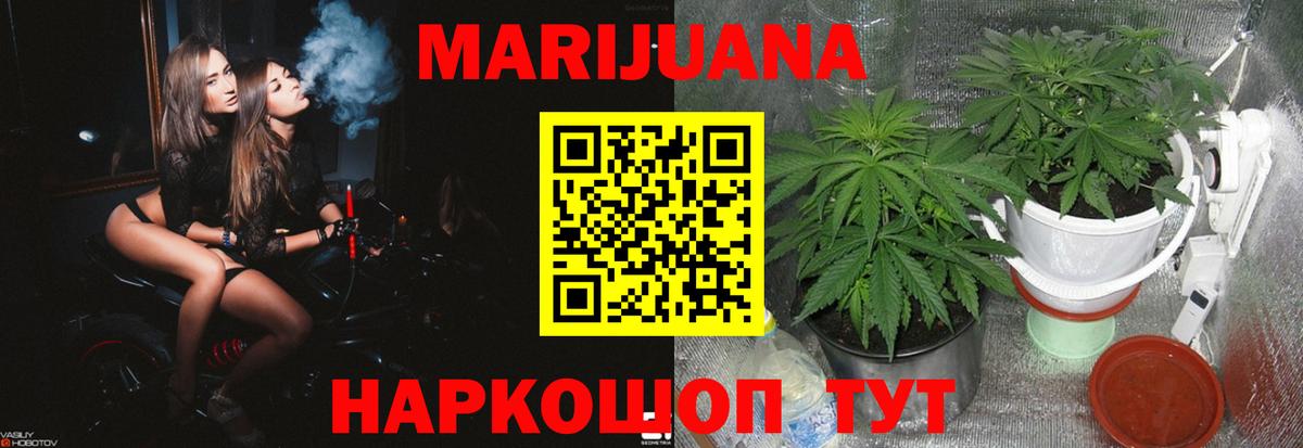 Каннабис марихуана Апатиты